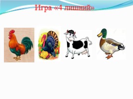 Домашние животные и птицы, слайд 30