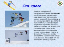 Зимние виды спорта (начальная школа), слайд 10