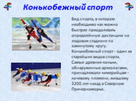 Зимние виды спорта (начальная школа), слайд 8