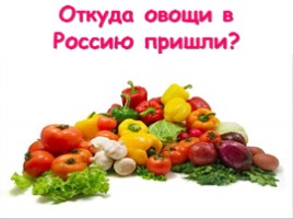 Откуда овощи в Россию пришли?, слайд 1