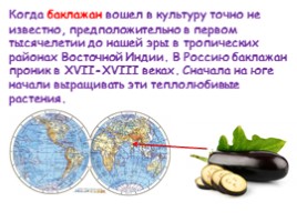 Откуда овощи в Россию пришли?, слайд 14