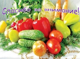 Откуда овощи в Россию пришли?, слайд 15