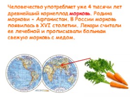 Откуда овощи в Россию пришли?, слайд 7