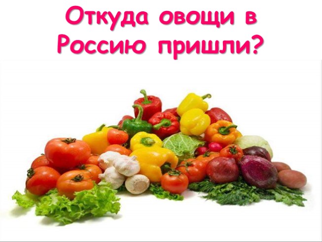 Откуда овощи в Россию пришли?