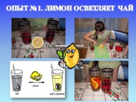 Лимон: его свойства и загадки (9 класс), слайд 10