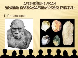 От обезьяны к человеку, слайд 8