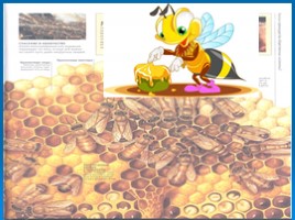 Пчела - фабрика ценных веществ, слайд 13