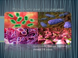 Роль бактерий в медицине (5 класс)