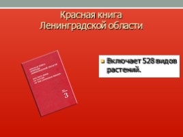 Красная книга Ленинградской области, слайд 26