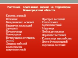 Красная книга Ленинградской области, слайд 27