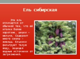 Красная книга Ленинградской области, слайд 30