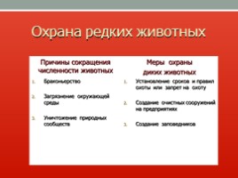 Красная книга Ленинградской области, слайд 34