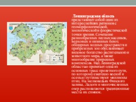 Красная книга Ленинградской области, слайд 4