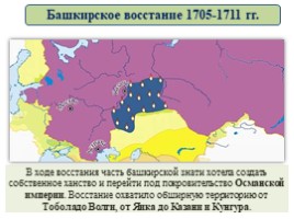 Социальные и национальные движения. Оппозиция реформам (8 класс), слайд 42