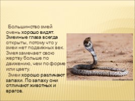 Змеи (3 класс), слайд 5