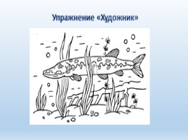 Речные рыбы (8 класс), слайд 10