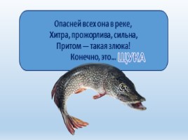 Речные рыбы (8 класс), слайд 7