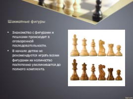 Технология обучения и методика проведения занятий в условиях реализации программы дополнительного образования «Шахматы», слайд 9