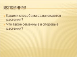 Разнообразие растений. Особенности внешнего строения растений, слайд 10