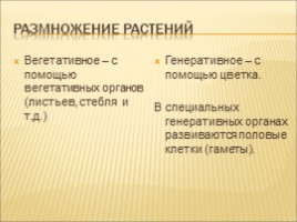 Разнообразие растений. Особенности внешнего строения растений, слайд 8