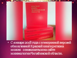 Красная книга Челябинской области (2 класс), слайд 28