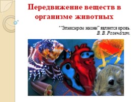 Передвижение веществ в организме животных, слайд 6