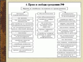 Права и свободы человека и гражданина в РФ (9 класс), слайд 12