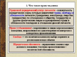 Права и свободы человека и гражданина в РФ (9 класс), слайд 4