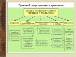 Права и свободы человека и гражданина в РФ (9 класс), слайд 6