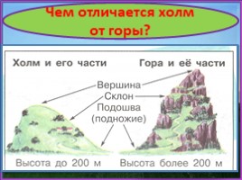 Холмы и овраги (3 класс), слайд 13