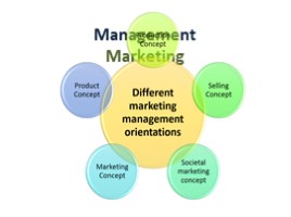 Management. Marketing (11 класс), слайд 1