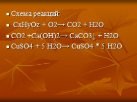 Теория строения органических веществ А.М. Бутлерова (10 класс), слайд 5