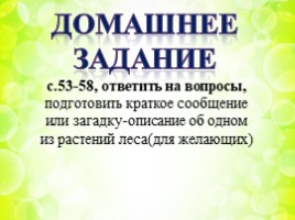 Растения леса (3 класс), слайд 23