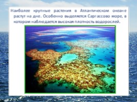 Океаны Земли (4 класс УМК «Гармония»), слайд 10