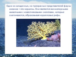 Океаны Земли (4 класс УМК «Гармония»), слайд 19