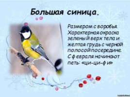 Зимующие птицы Чувашии, слайд 3