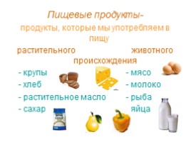 Питание и пищеварение (8 класс), слайд 7