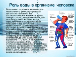 Роль воды в организме человека, слайд 1