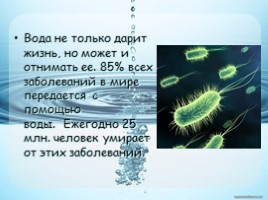 Роль воды в организме человека, слайд 17