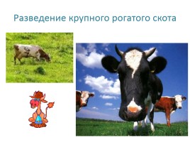 Животноводство в нашем крае, слайд 20