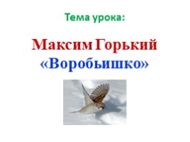 Максим Горький «Воробьишко» (1 класс), слайд 9