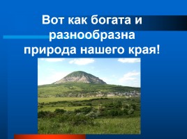 Растительный и животный мир Ставрополья, слайд 13
