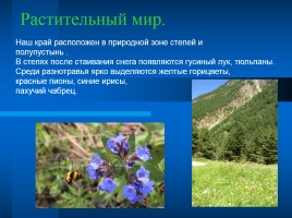 Растительный и животный мир Ставрополья, слайд 3