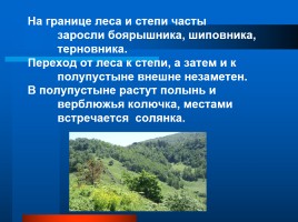 Растительный и животный мир Ставрополья, слайд 4