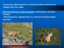 Растительный и животный мир Ставрополья, слайд 7