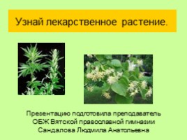 Узнай лекарственное растение