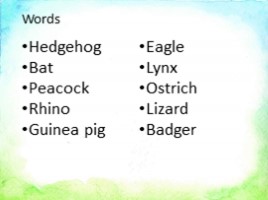 Exotic animals, слайд 13