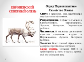Виды и подвиды млекопитающих внесённых в Красную книгу Кировской области, слайд 9