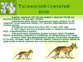 Влияние человека на животных (7 класс), слайд 12