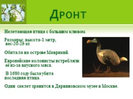 Влияние человека на животных (7 класс), слайд 9
